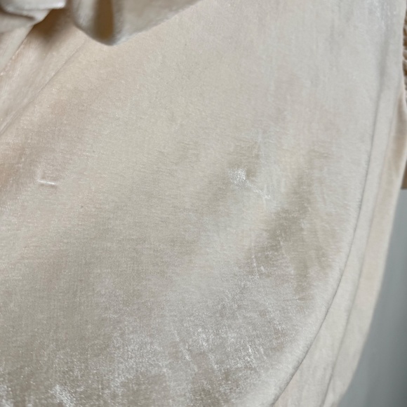 Free People Claudia Velvet Puff Sleeve Blouse in Champagne Toast Sz M - Picture 7 of 11